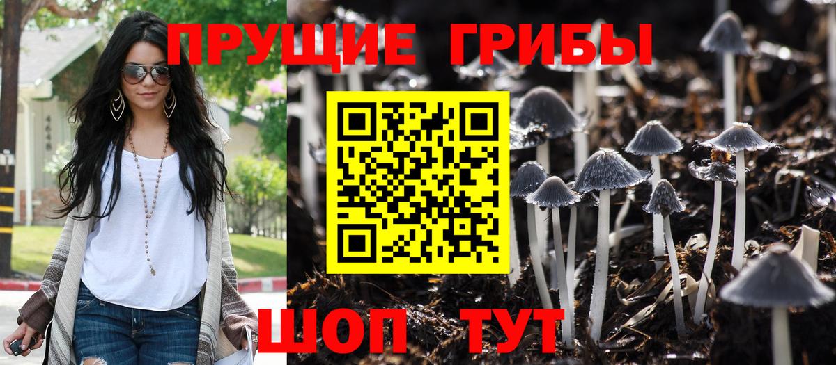 Псилоцибиновые грибы GOLDEN TEACHER Сочи