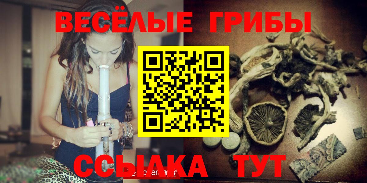 Сочи  Галлюциногенные грибы Psilocybine cubensis  Псилоцибиновые грибы Cubensis  Вход с VPN 